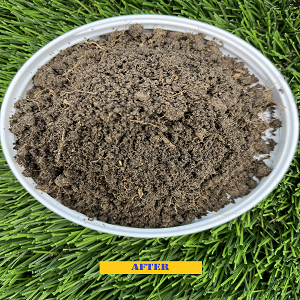loose soil after using Sure Green Hydro- Drought And Compaction Juice