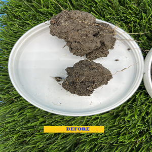 Drought / Soil Compaction Juice / Soil Loosener/ Water Saverl