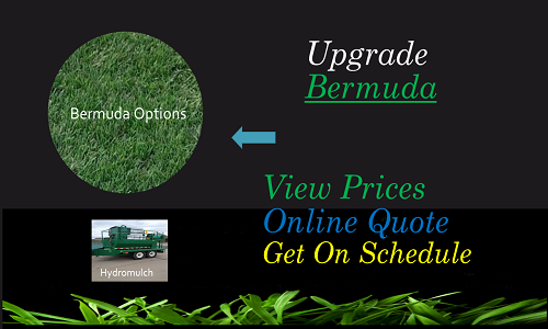 Upgrade Bermuda Hydromulch