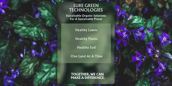 Organics for Lawn and Plants