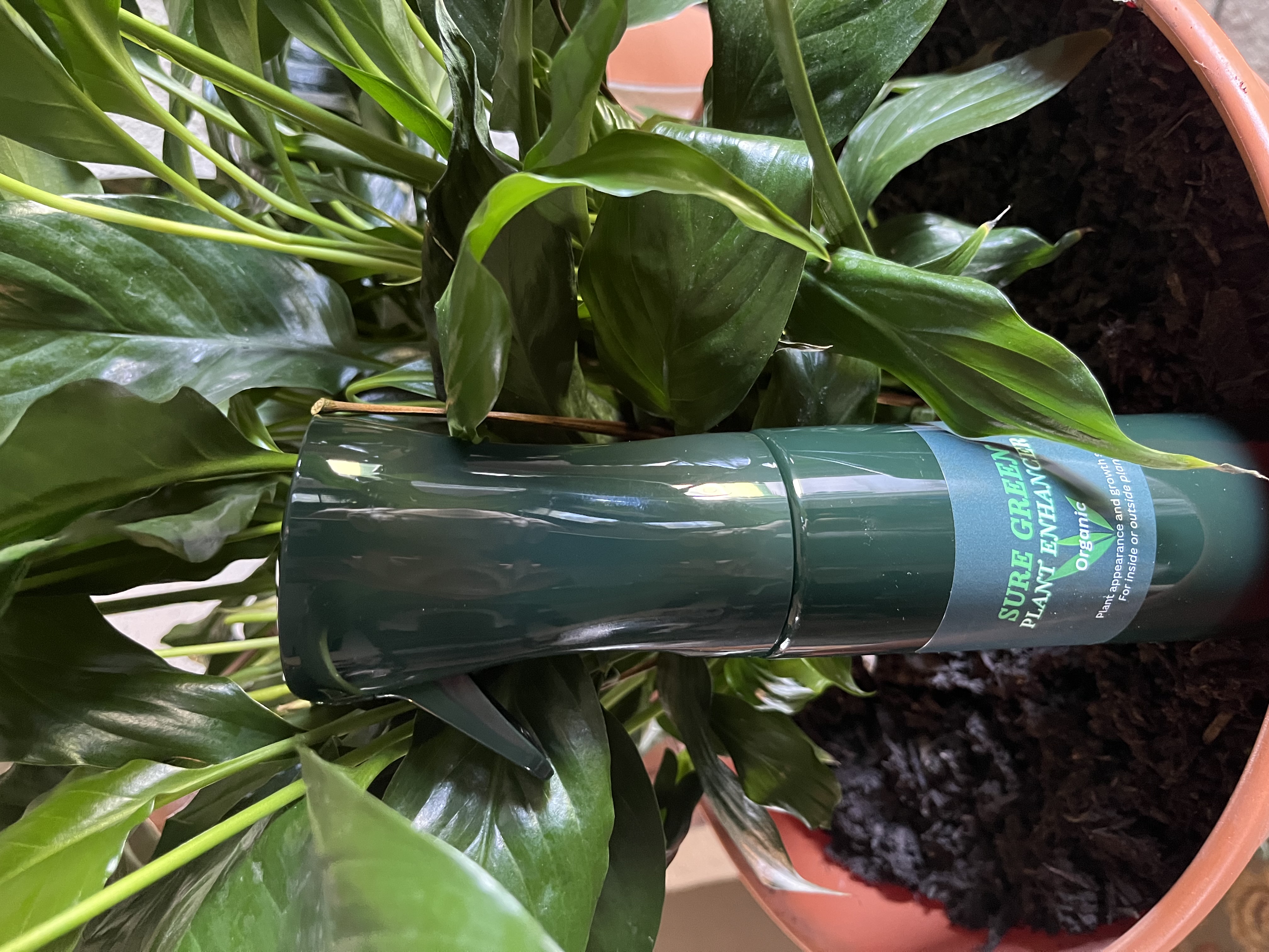 Organic Plant Growth Enhancer