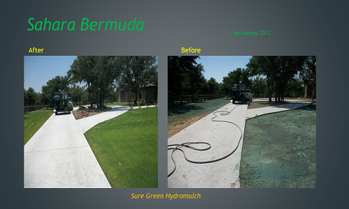 hydromulch photo4